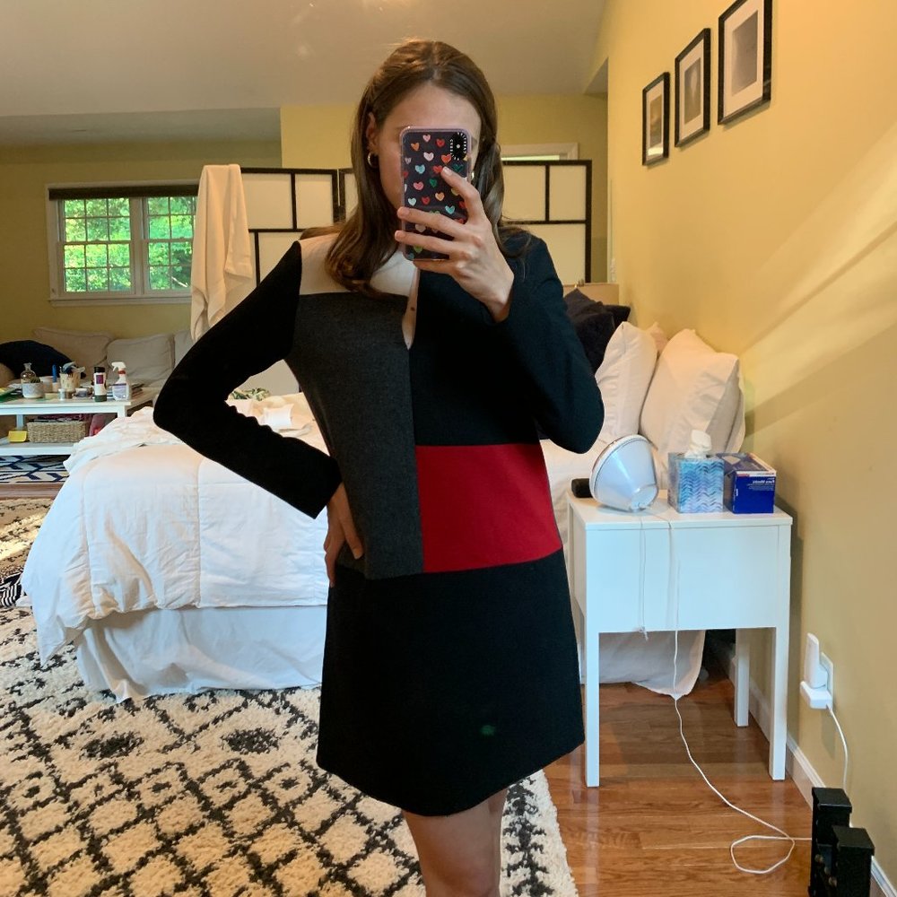 Zara Long Sleeve Color Block Mini Shift Dress